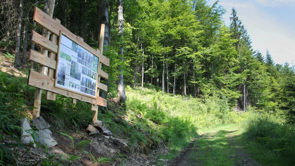 Pokoje W Oberzy Czarny Gron Rzyki Eksteriør bilde